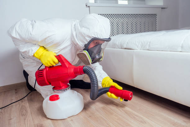 Best Real Estate Pest Inspections  in Bostonia, CA